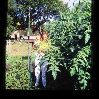 Tray 51 - 6-87 to 8-87