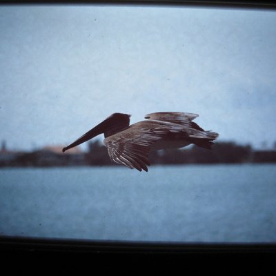 Tray 54 - Florida Trip 3-88